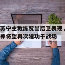 爱游戏体育-苏宁主教练赞誉后卫表现，神将望再次建功于战场()