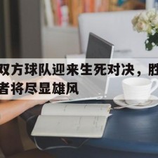 爱游戏中国-双方球队迎来生死对决，胜者将尽显雄风()